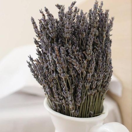 Lavandula Ring 티라나 외부 사진