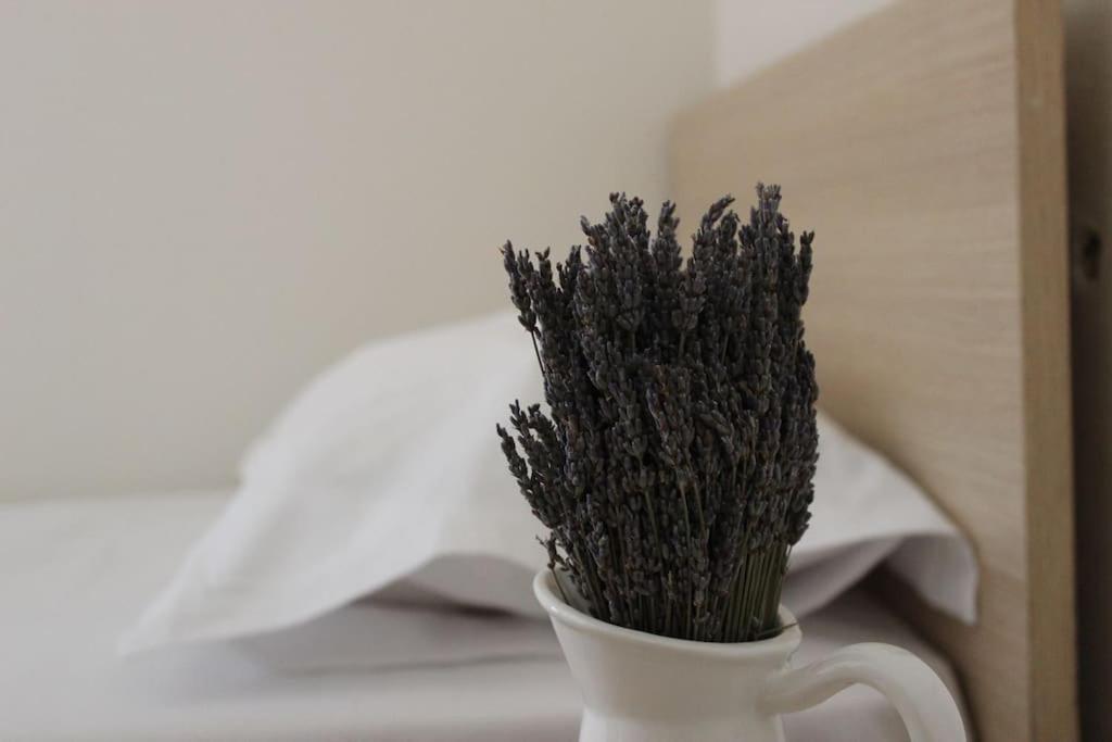 Lavandula Ring 티라나 외부 사진
