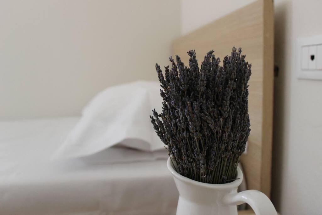 Lavandula Ring 티라나 외부 사진